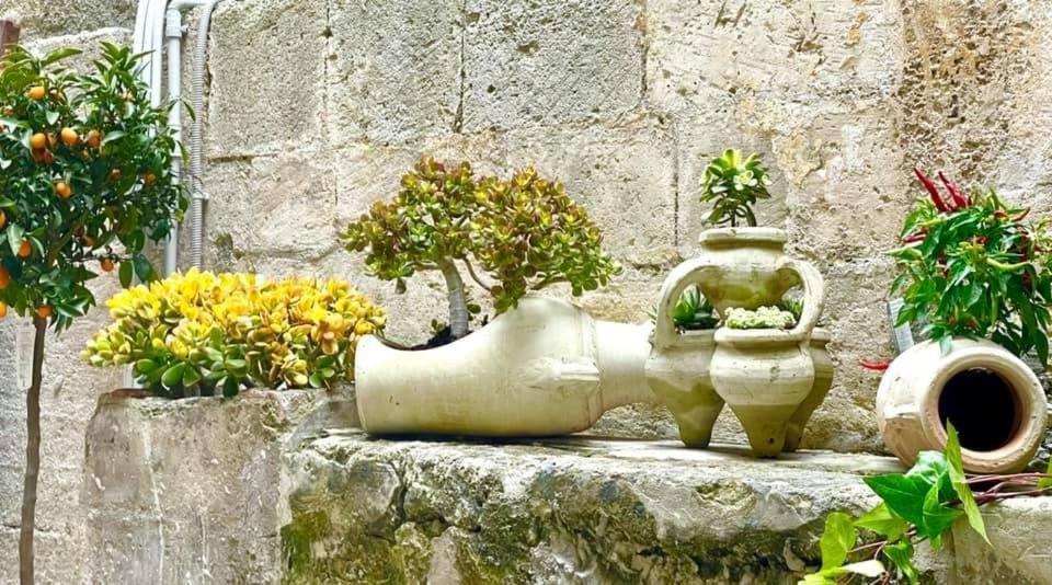 Lemon Suite Ortigia シラクーサ エクステリア 写真