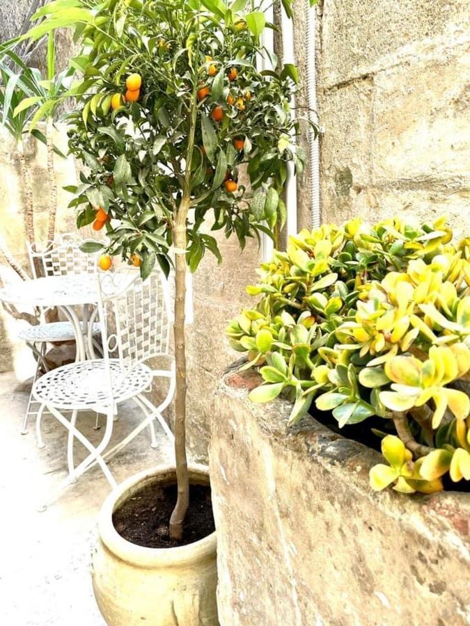 Lemon Suite Ortigia シラクーサ エクステリア 写真